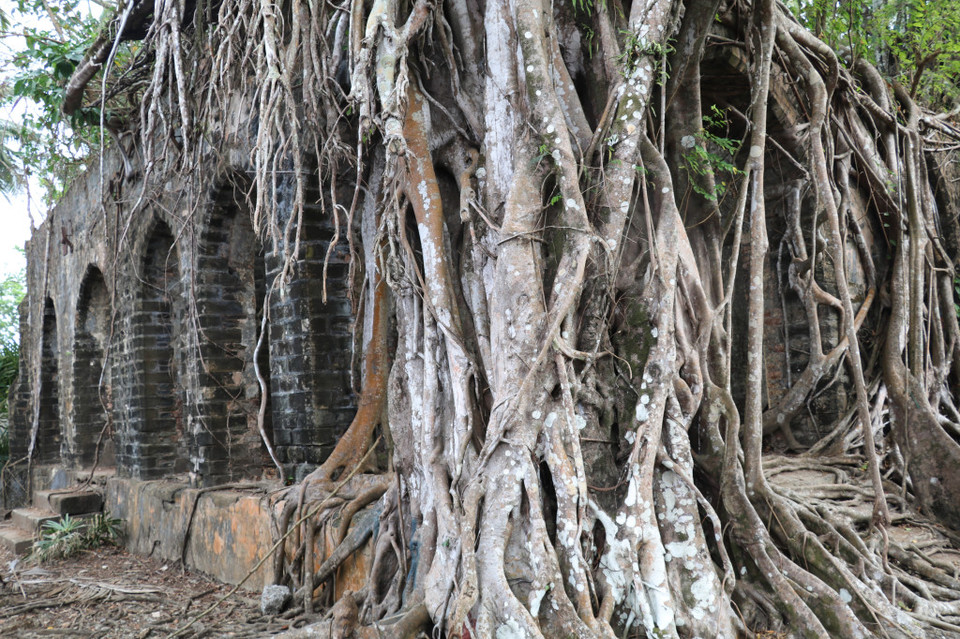 Photo of Amazing Andaman 86/103 by Balachandra