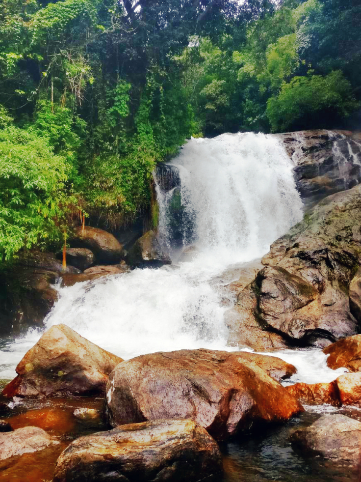 Photo of Lakkam Waterfalls, Marayoor, Kerala, India by MilesBitesandSoul