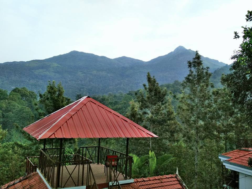 Photo of Indriya Birds Valley, Idukki, Kerala, India by Kritika Dave