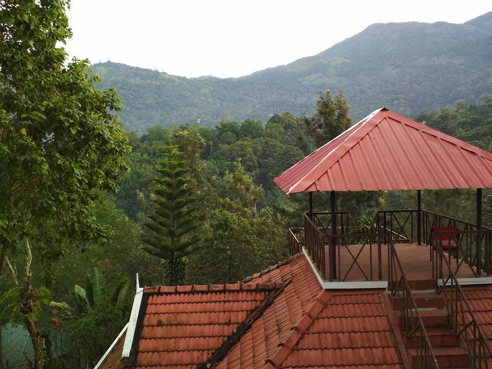 Photo of Indriya Birds Valley, Idukki, Kerala, India by Kritika Dave