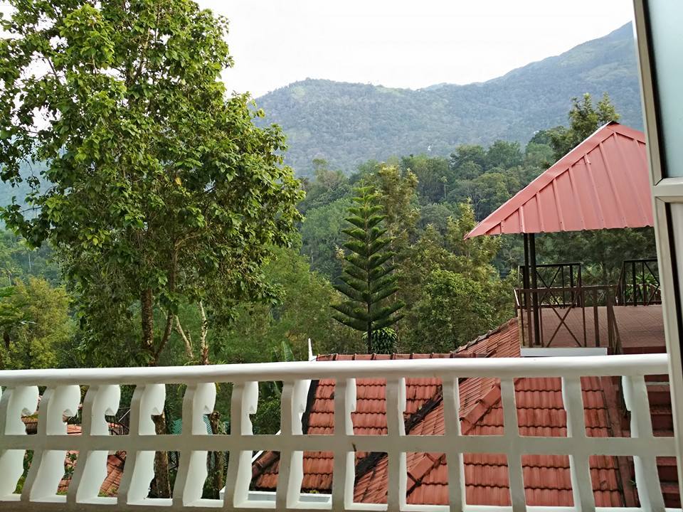 Photo of Indriya Birds Valley, Idukki, Kerala, India by Kritika Dave