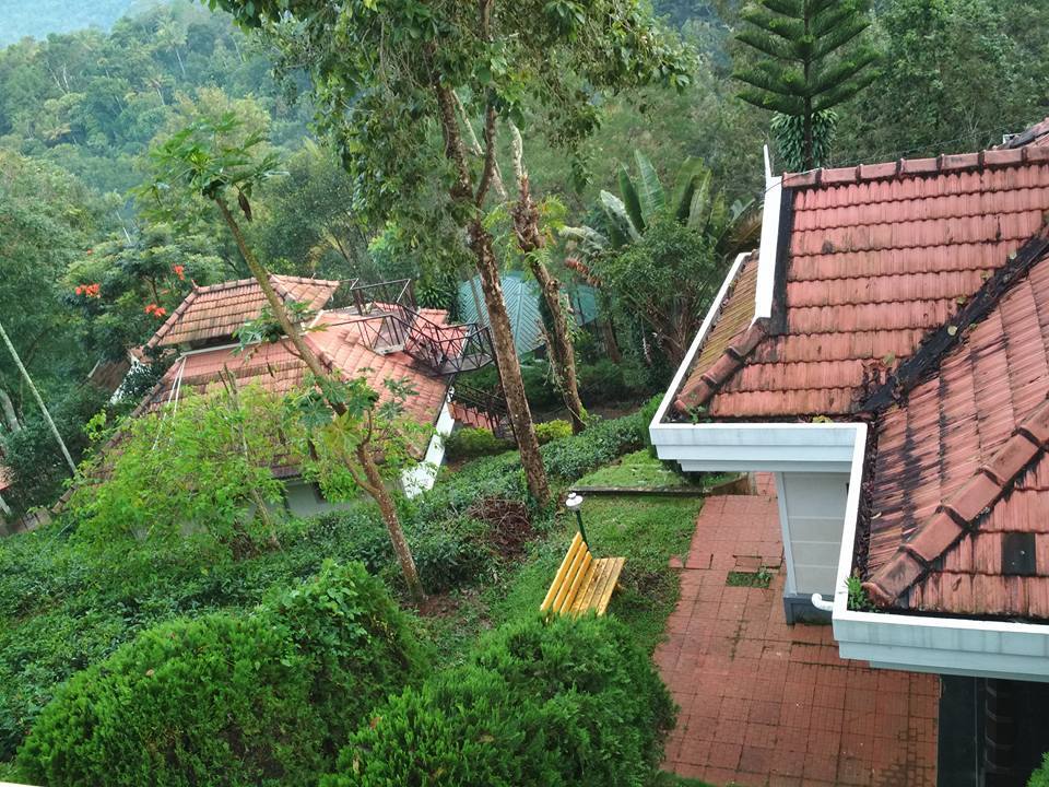 Photo of Indriya Birds Valley, Idukki, Kerala, India by Kritika Dave