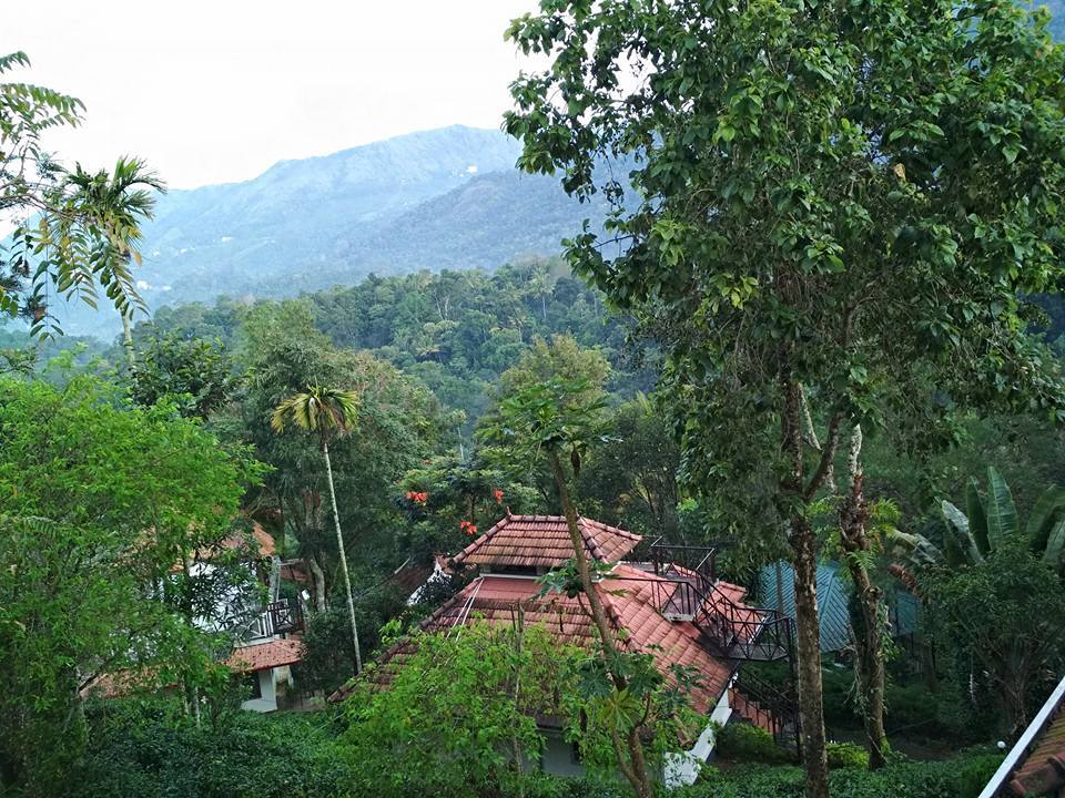 Photo of Indriya Birds Valley, Idukki, Kerala, India by Kritika Dave