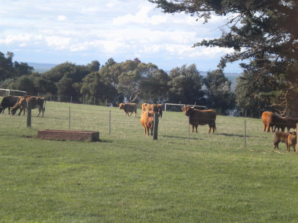 Photo of Australia as I see it!!! by anumeha gupta
