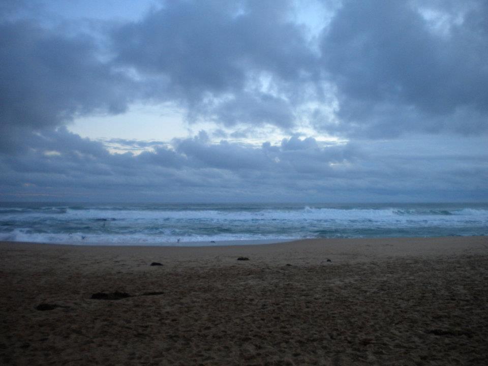 Photo of Gibsons Beach by anumeha gupta
