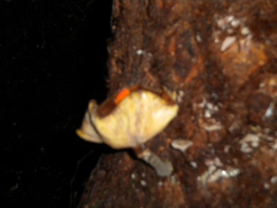 Photo of Another one by anumeha gupta
