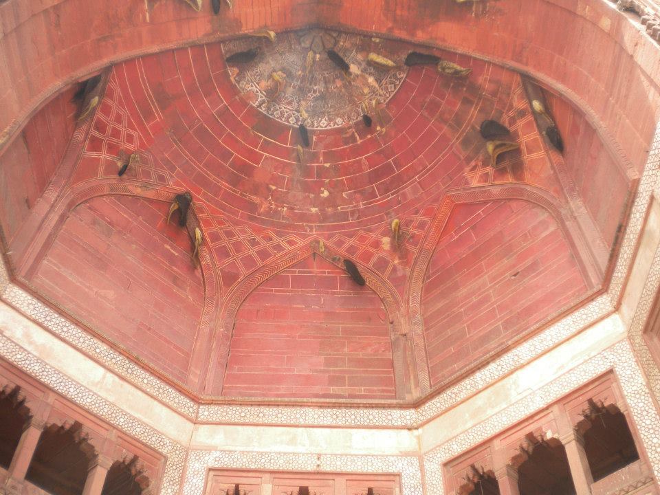 Photo of Agra- A weekend well spent in Mughal Era by anumeha gupta