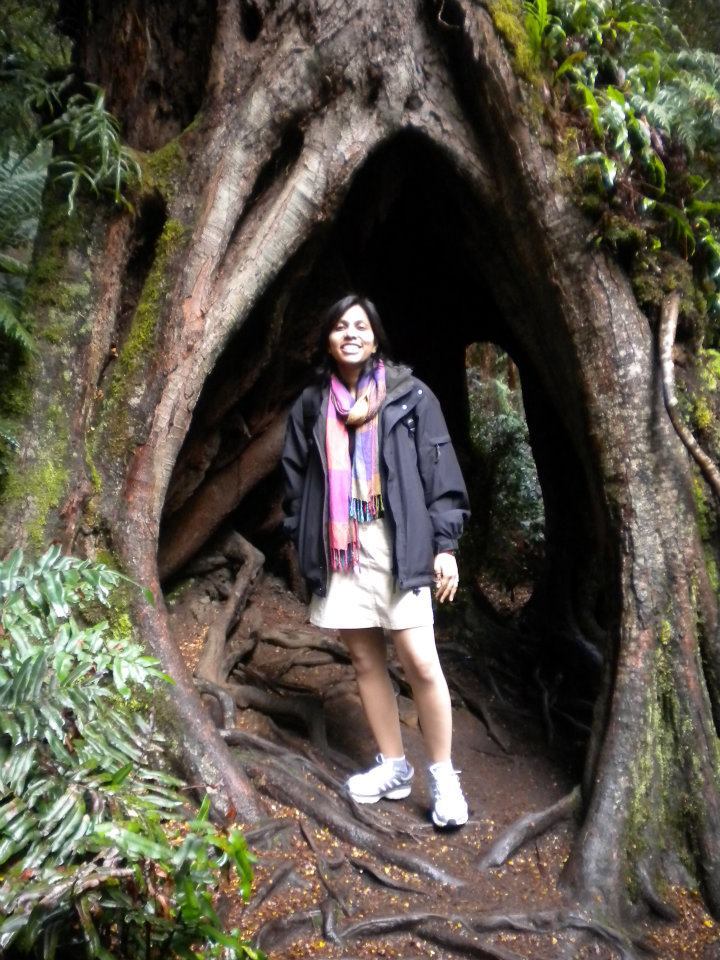Photo of This is in a tree cave, there was a spider web above me here by anumeha gupta