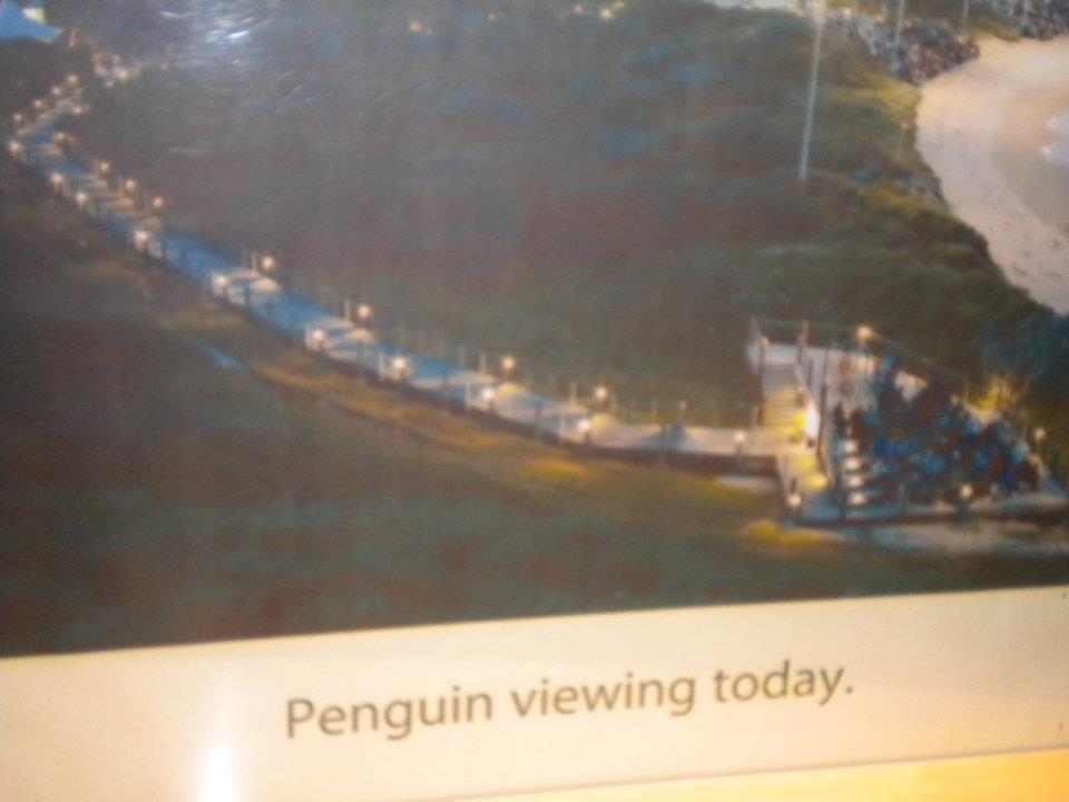 Photo of Australia as I see it!!! by anumeha gupta