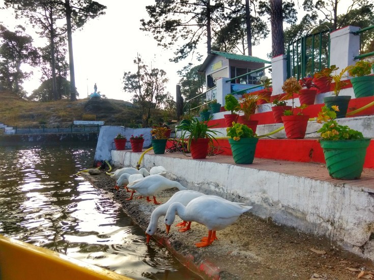 Photo of Don't miss out these places to visit in Lansdowne, Uttarakhand 3/8 by Shaily Tandon