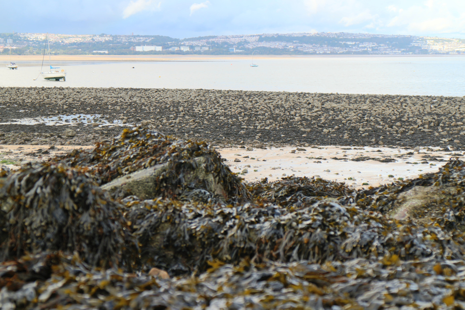 Photo of Mumbles, United Kingdom by Nivedita Chatterjee