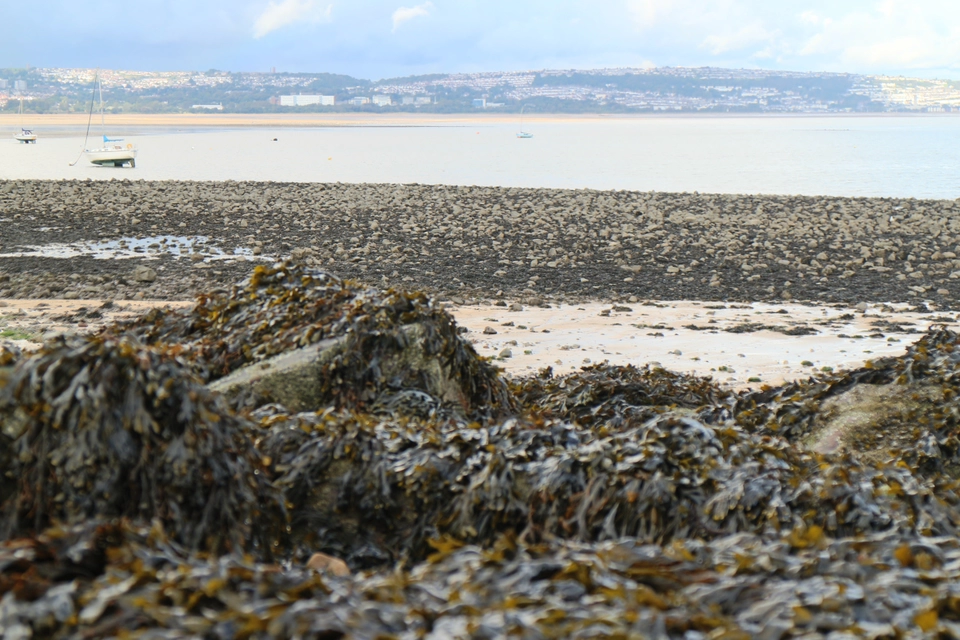 Photo of Mumbles, United Kingdom by Nivedita Chatterjee