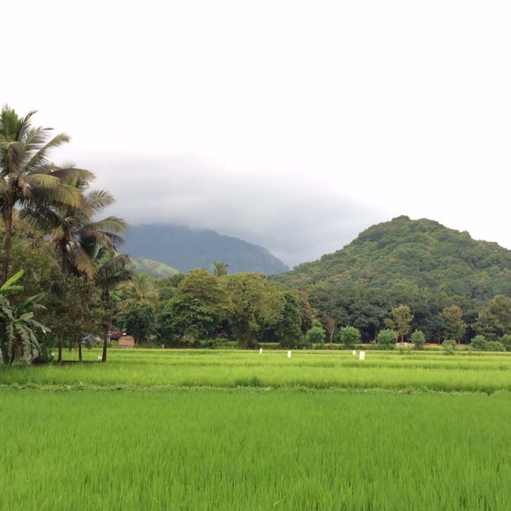 Photo of PERINTHALMANA - What is to explore a random place in map - BIKERRER 2/12 by Bikerrer