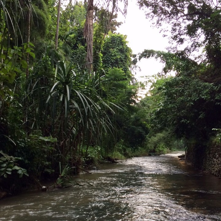 Photo of PERINTHALMANA - What is to explore a random place in map - BIKERRER 3/12 by Bikerrer