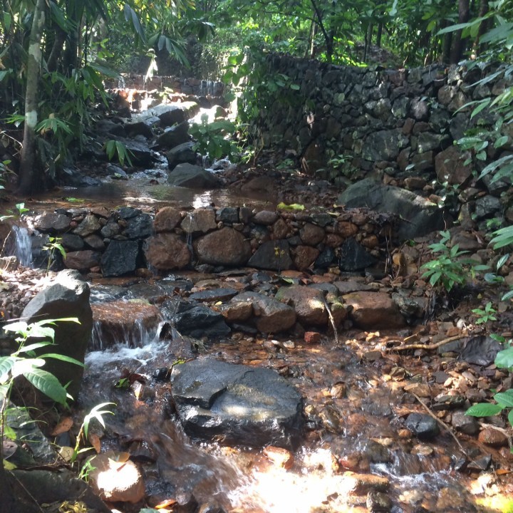 Photo of PERINTHALMANA - What is to explore a random place in map - BIKERRER 5/12 by Bikerrer