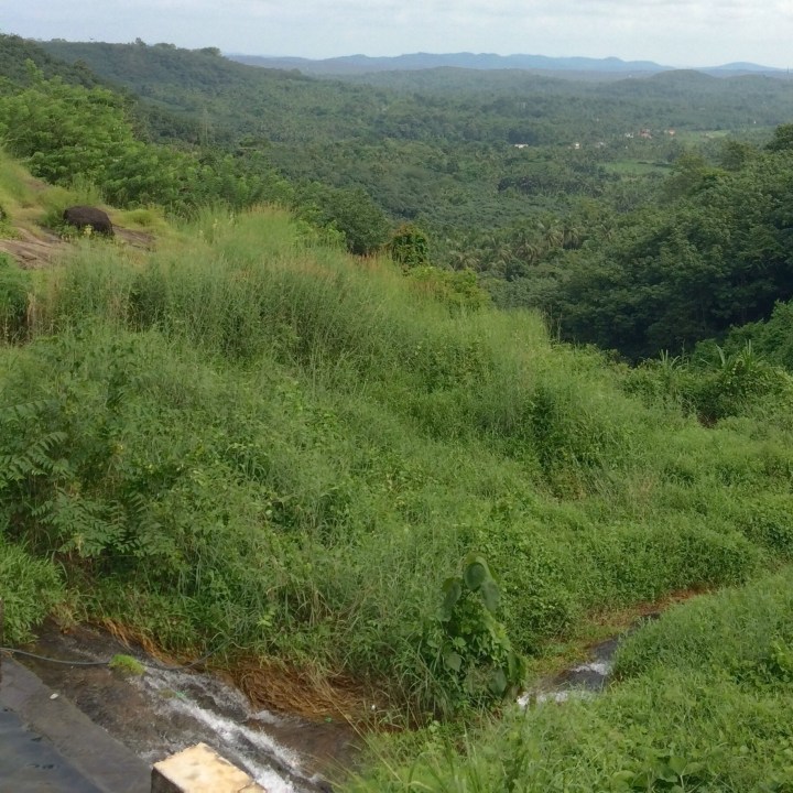 Photo of PERINTHALMANA - What is to explore a random place in map - BIKERRER 8/12 by Bikerrer