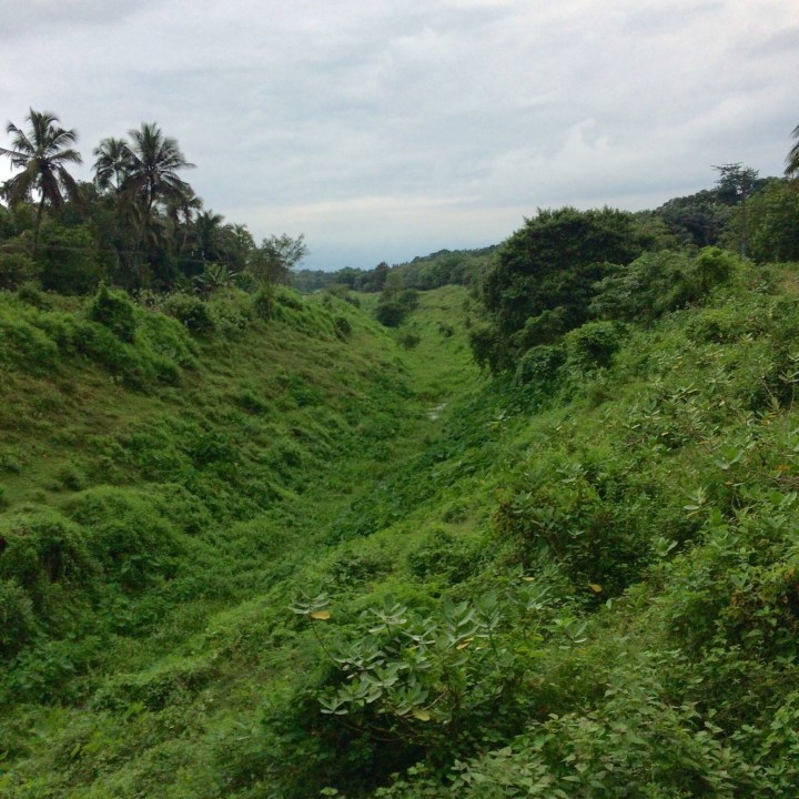 Photo of PERINTHALMANA - What is to explore a random place in map - BIKERRER 12/12 by Bikerrer