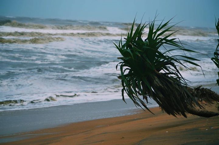 Photo of Beachy Bekal!!! 17/20 by Aishwarya Raj