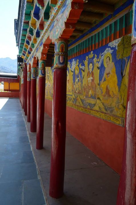 Photo of Enticing Ladakh!!! by Aishwarya Raj