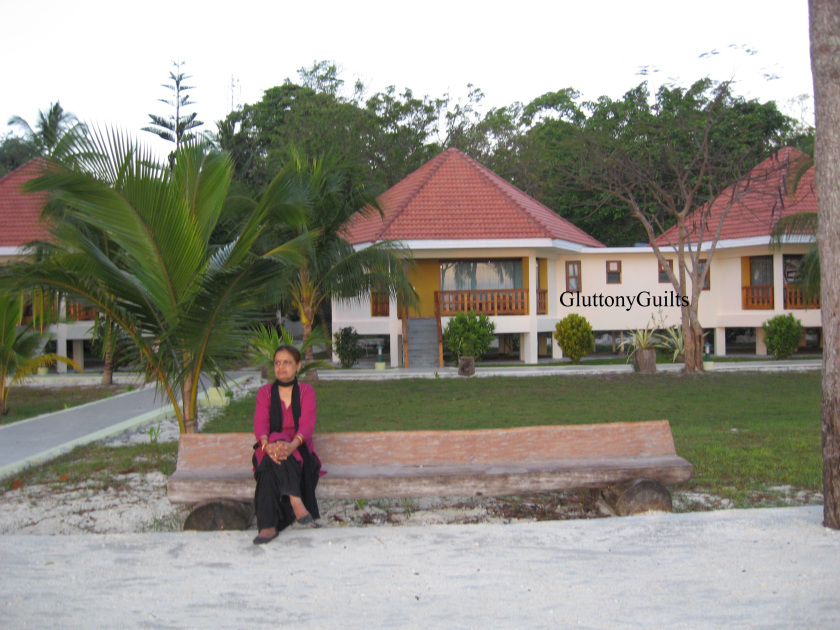 Photo of Andaman Diaries 3/10 by Shreya Srivastava