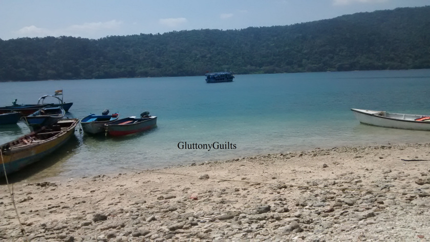 Photo of Andaman Diaries 5/10 by Shreya Srivastava