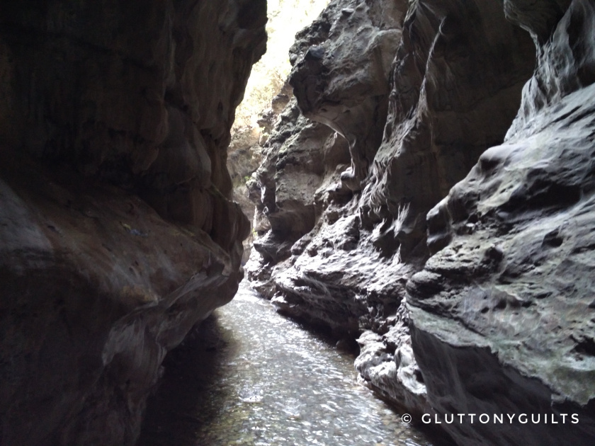 Photo of Mini travelogue: Adventures at Robbers cave, Dehradun 2/4 by Shreya Srivastava