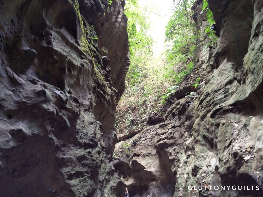 Photo of Mini travelogue: Adventures at Robbers cave, Dehradun 3/4 by Shreya Srivastava