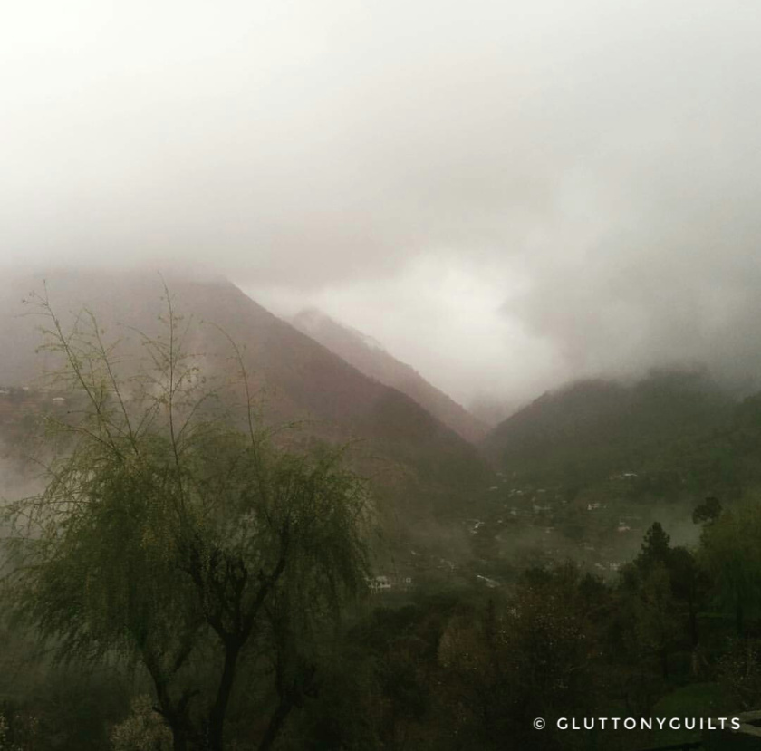 Photo of Travelogue - Dharamshala, Himachal Pradesh, India 2/7 by Shreya Srivastava