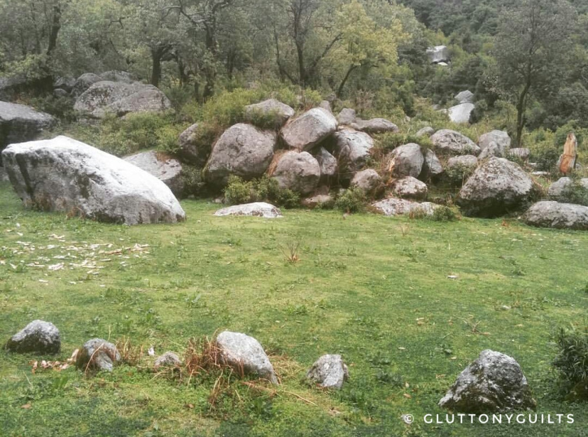 Photo of Travelogue - Dharamshala, Himachal Pradesh, India 4/7 by Shreya Srivastava