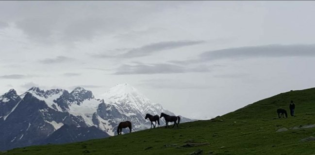 Photo of Bhrigu Lake Trek-#TakemetoHimalayas by Neha Manavi