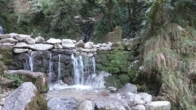 Photo of Panchpula, Pathankot Road, Chatryara, Himachal Pradesh, India by Neha Manavi