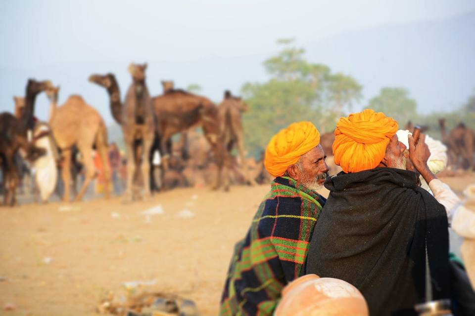 Photo of Pushkar, Rajasthan, India by Sapna Mahto