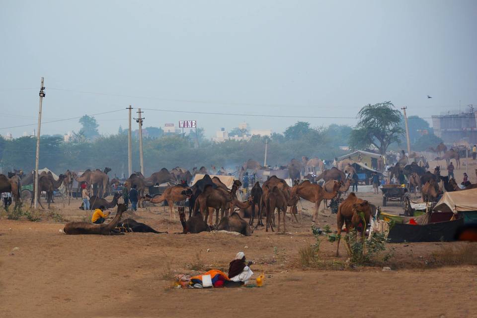 Photo of The Cheapest Backpackers Trip to PUSHKAR! by Sapna Mahto