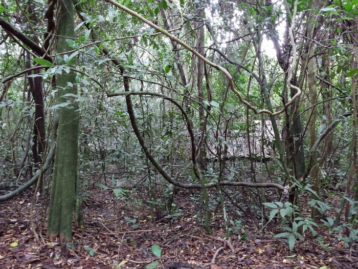 Photo of Cu Chi Tunnels : Photo Story 9/11 by Bhumika Mehta