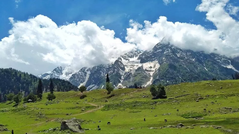 Photo of Sonamarg by Nancy