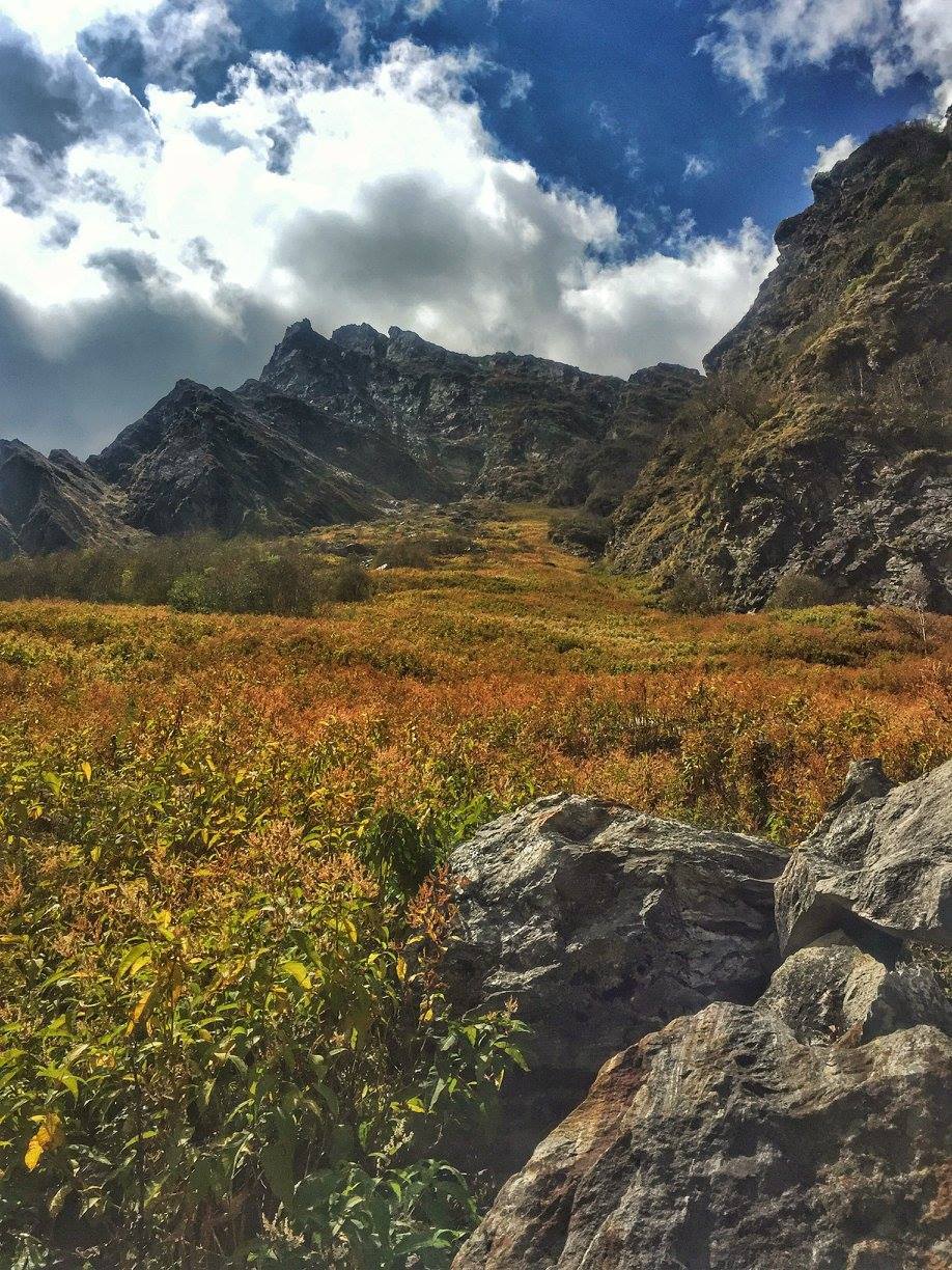 Photo of Valley of Flowers Trek 1/1 by Nancy