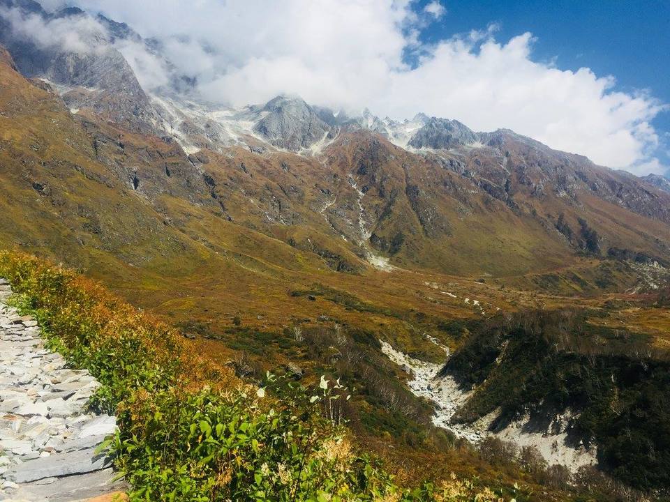 Photo of Valley of Flowers National Park, Chamoli, Uttarakhand, India by Nancy