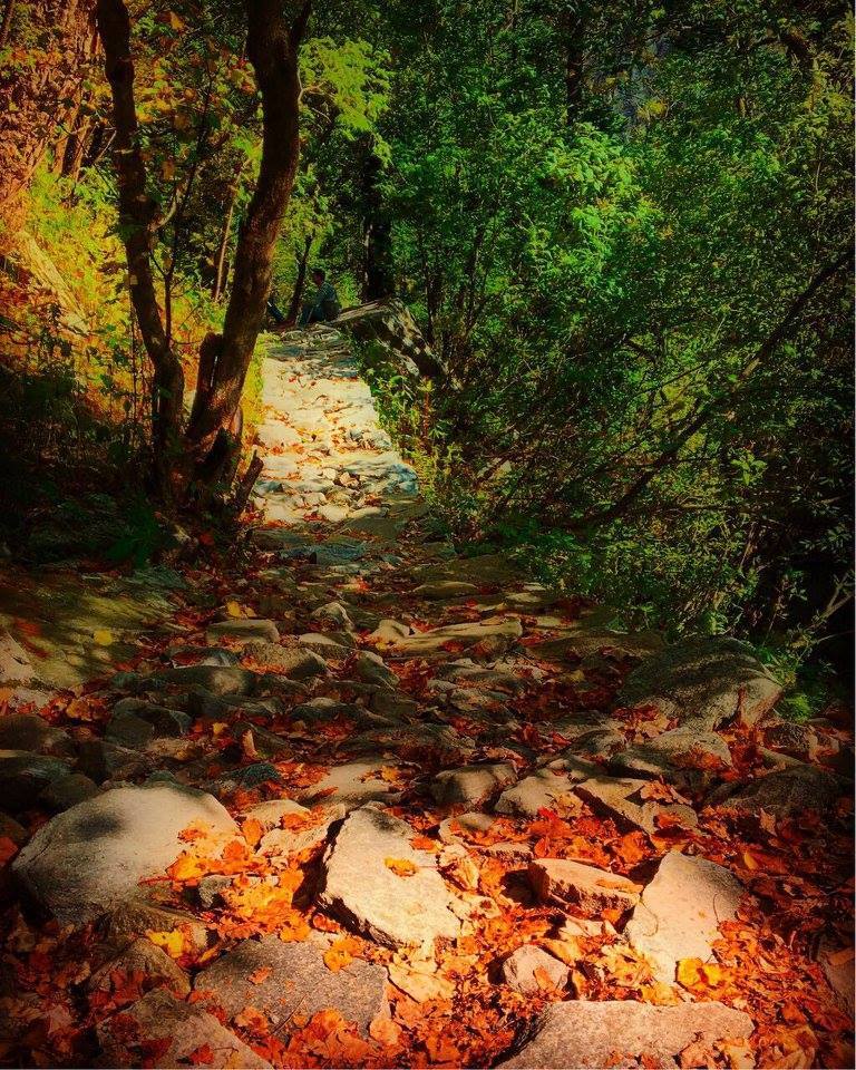 Photo of Valley of Flowers National Park, Chamoli, Uttarakhand, India by Nancy