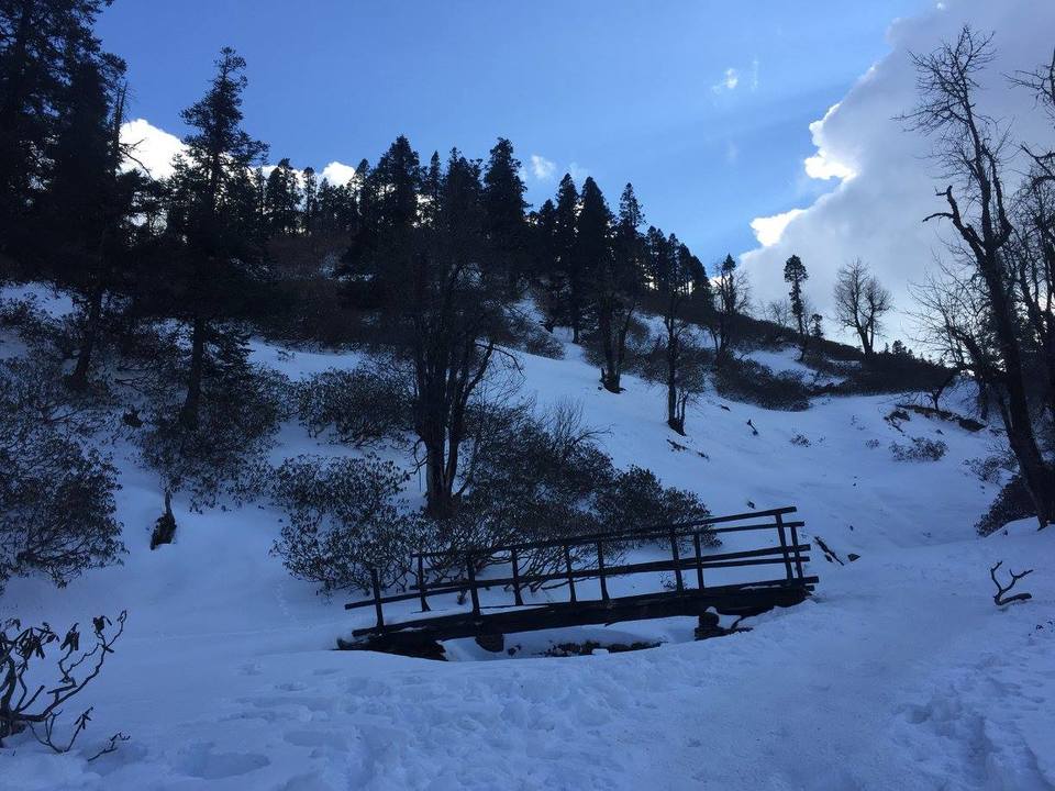 Photo of Dehradun, Uttarakhand, India by Nancy