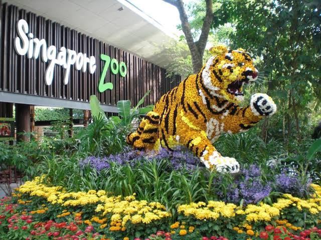 Photo of How To Travel Singapore? 5/30 by Ambica Maddy