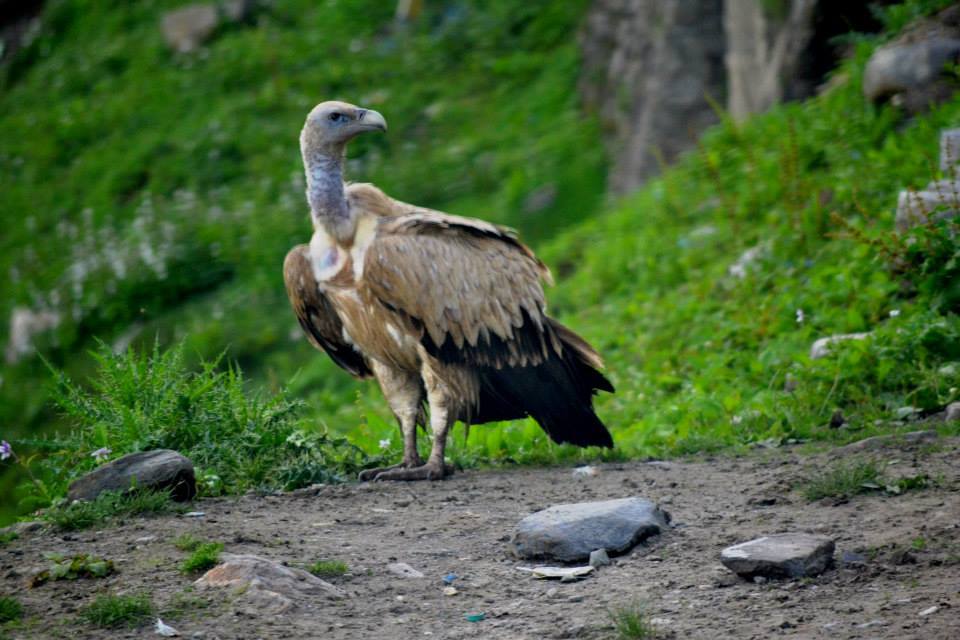Photo of Ladakh - Mecca of the Motorcyclist 136/191 by Veeral Pathak