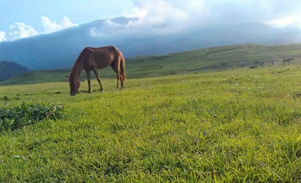 Photo of Ladakh - Mecca of the Motorcyclist 11/191 by Veeral Pathak