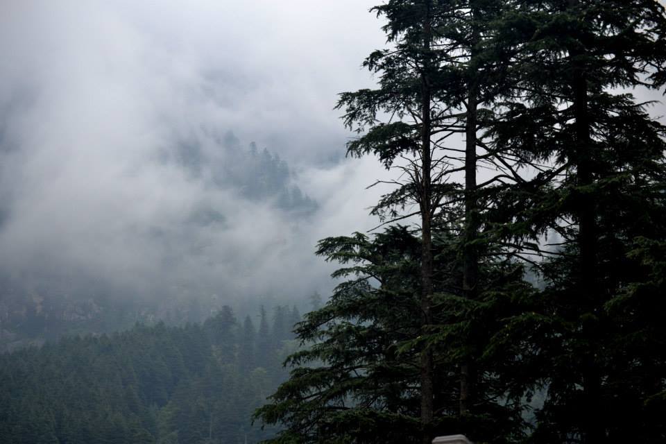 Photo of Ladakh - Mecca of the Motorcyclist 26/191 by Veeral Pathak