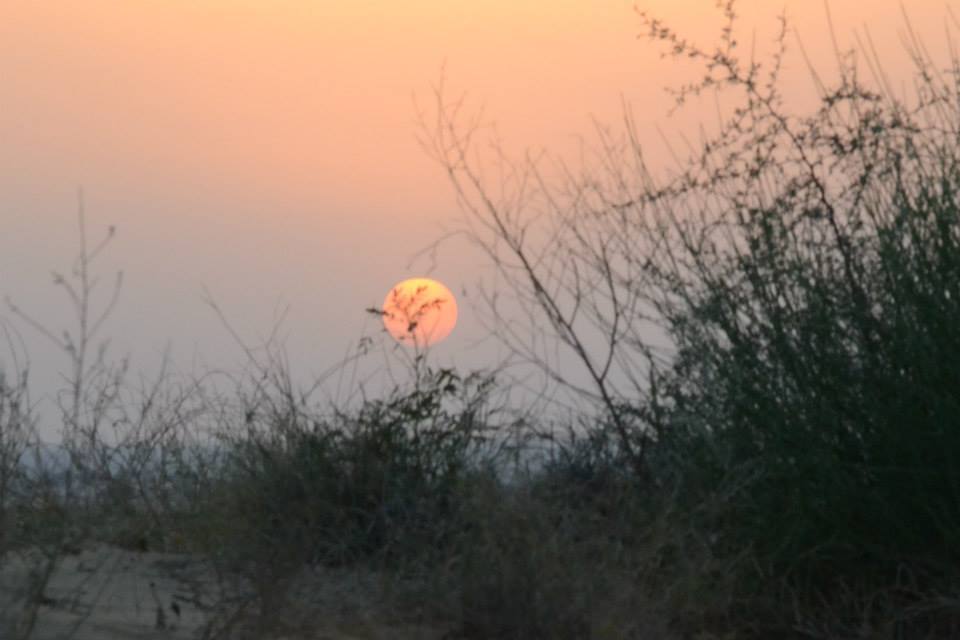 Photo of Vintage Voyage to the Blue City - Jodhpur 26/41 by Veeral Pathak