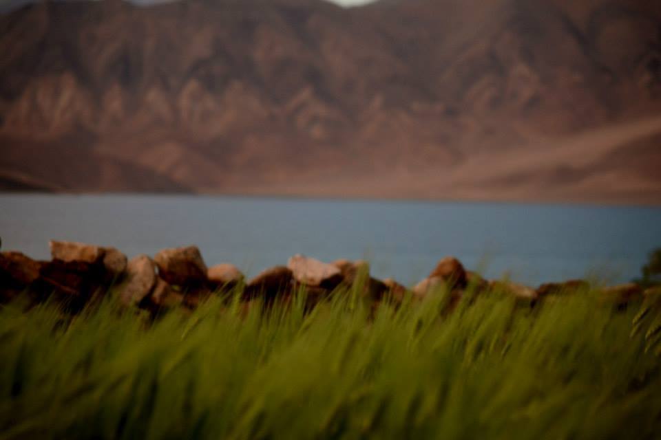 Photo of Ladakh - Mecca of the Motorcyclist 82/191 by Veeral Pathak