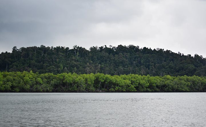 Photo of The Island's Call - Andaman - Port Blair, Havelock and Neil Island by Sayan Mitra
