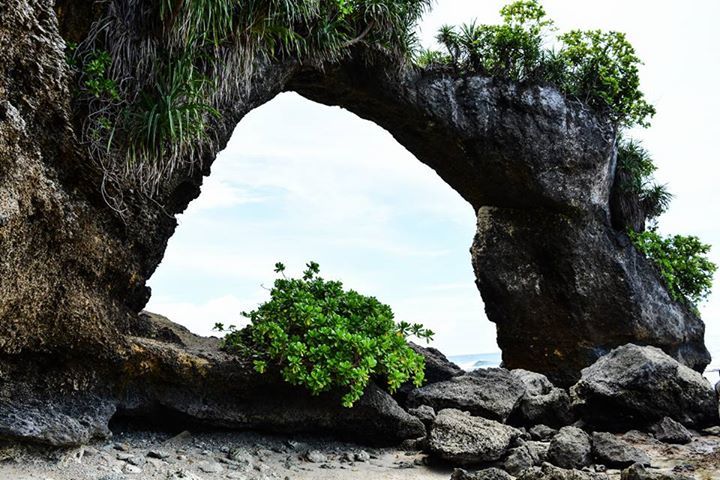 Photo of The Island's Call - Andaman - Port Blair, Havelock and Neil Island by Sayan Mitra