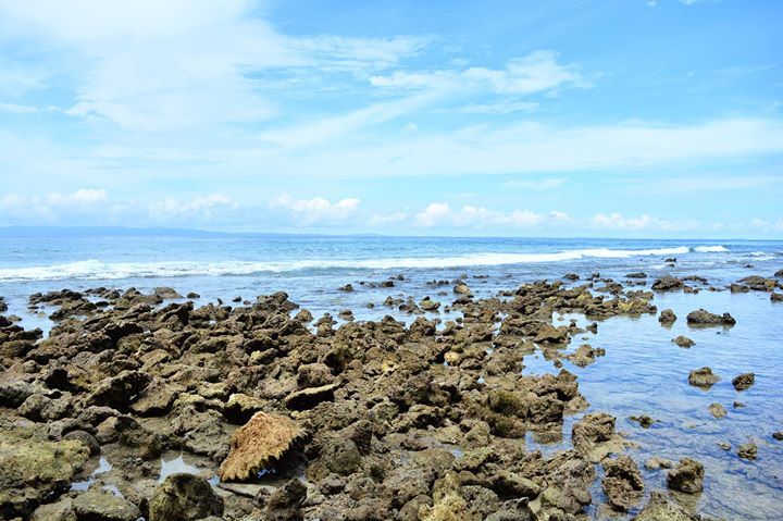 Photo of The Island's Call - Andaman - Port Blair, Havelock and Neil Island by Sayan Mitra