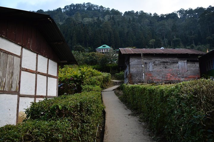 Photo of Journey through the winding roads - Dzuluk, Gnathang Valley - East Sikkim - Silk Route by Sayan Mitra
