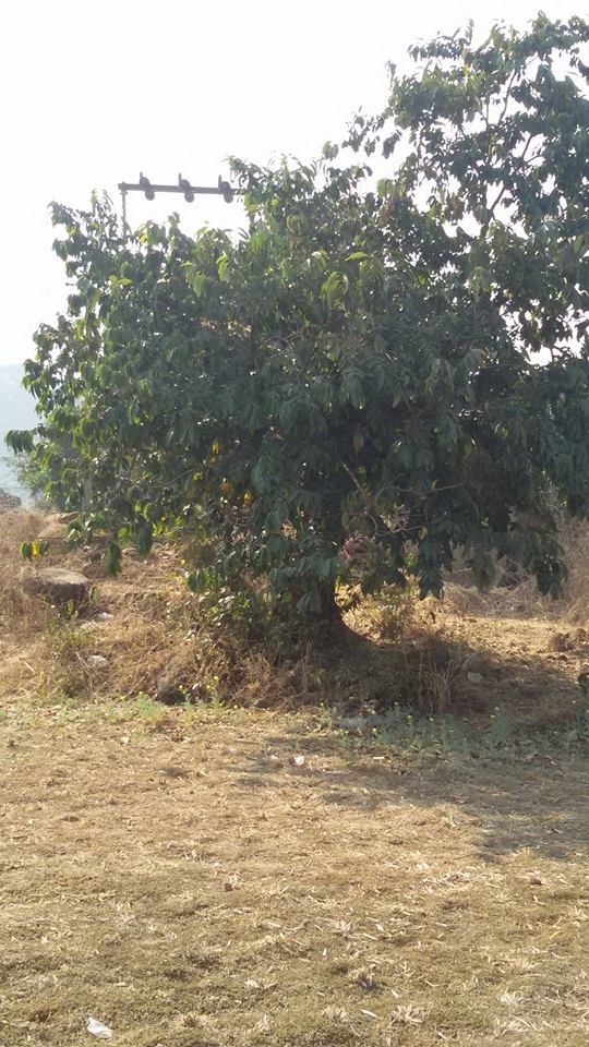 Photo of Trek Picks of Dhak Bhairii 18/78 by Dhaval Katakia